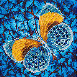 Intermediate - Flutter by Gold