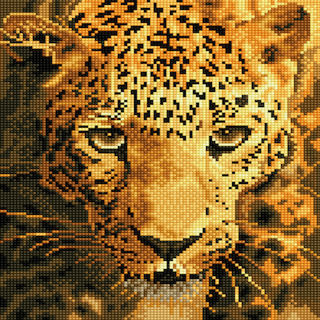 Intermediate - Jaguar Prowl